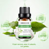 Factory sale Jasmine Therapeutic Aromatherapy Essential Oil