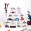 Body Care Whiten Exfoliating Salt Sugar Body Scrub