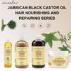 Herbal Black Castor Oil Hair Care Set Shampoo And Conditioner Kits