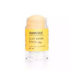 Skin Care Strawberry Stick Purifying Deep Clean Pink Clay face Mask Stick