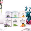Body Care Whiten Exfoliating Salt Sugar Body Scrub